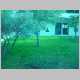 DSC10716.JPG